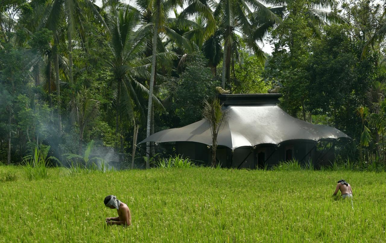 Capella Ubud, Bali Luaran gambar
