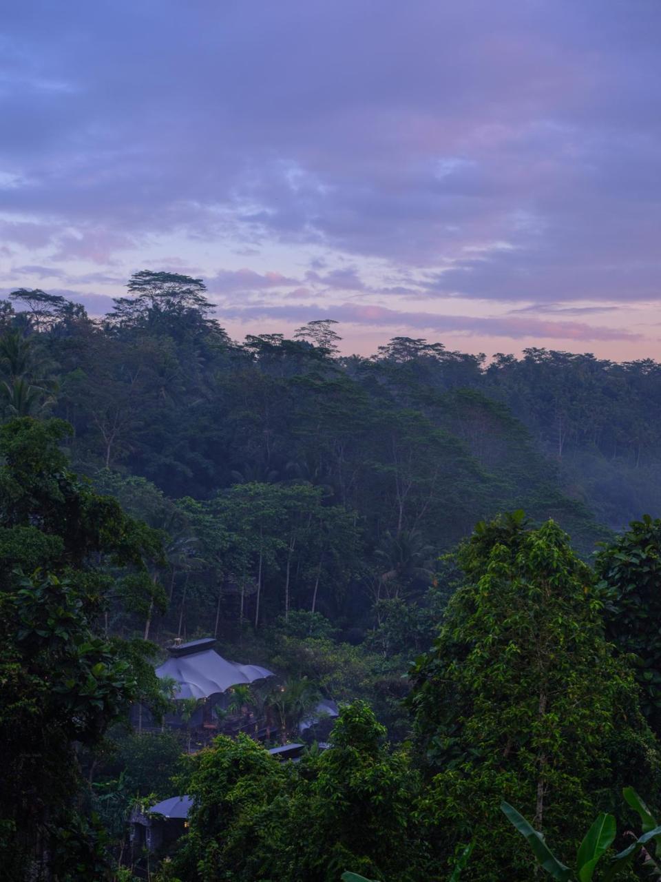Capella Ubud, Bali Luaran gambar